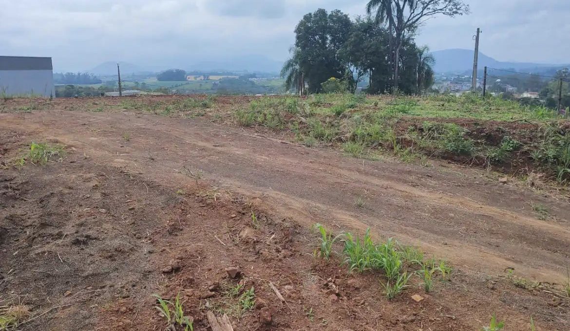 IMG_20221019_095519376