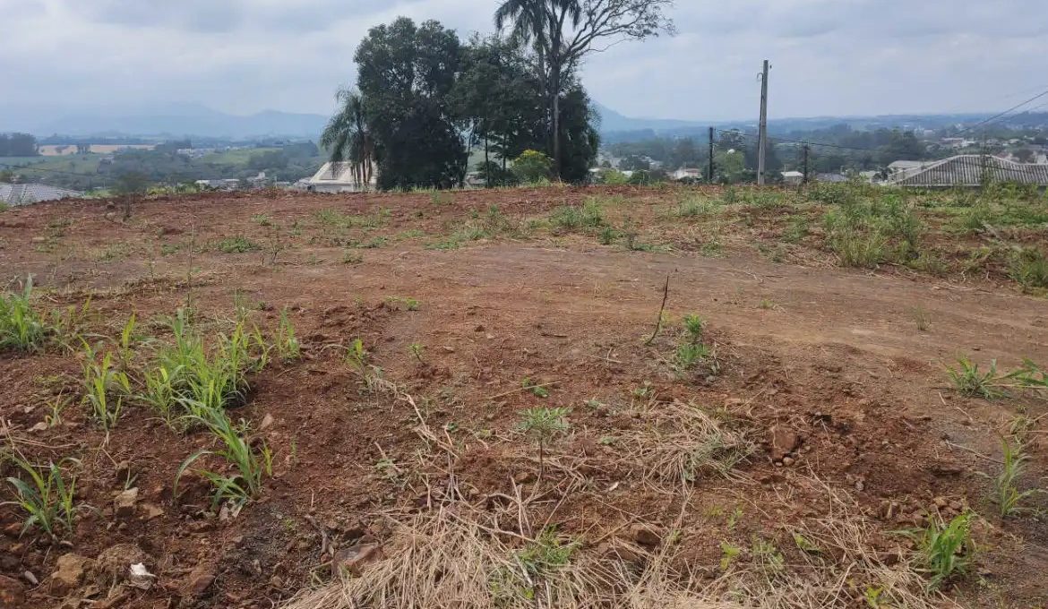 IMG_20221019_095543270