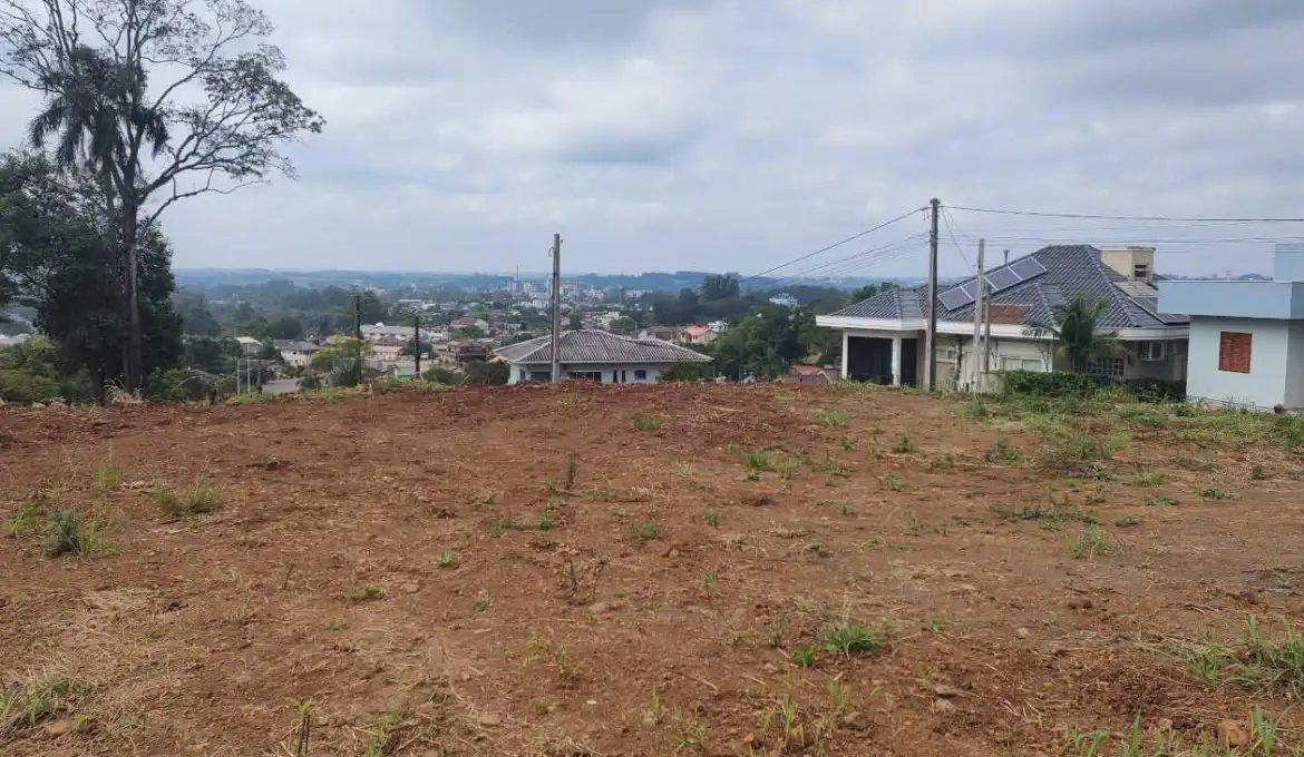 IMG_20221019_095604957