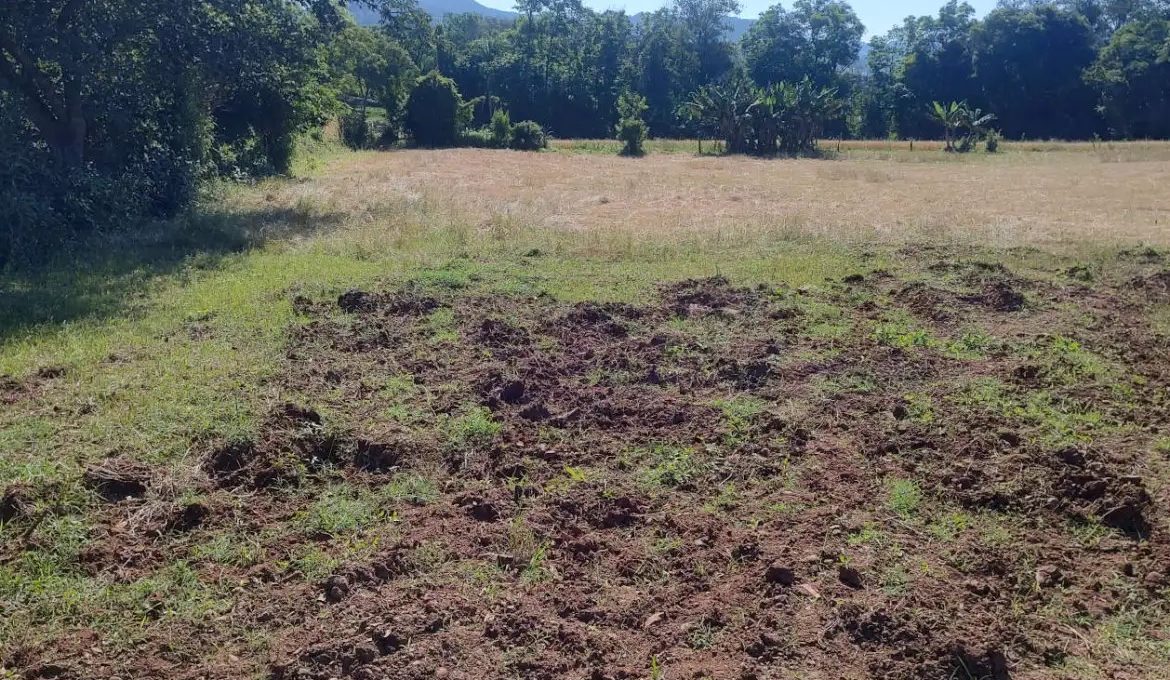 IMG_20221025_152610559_HDR