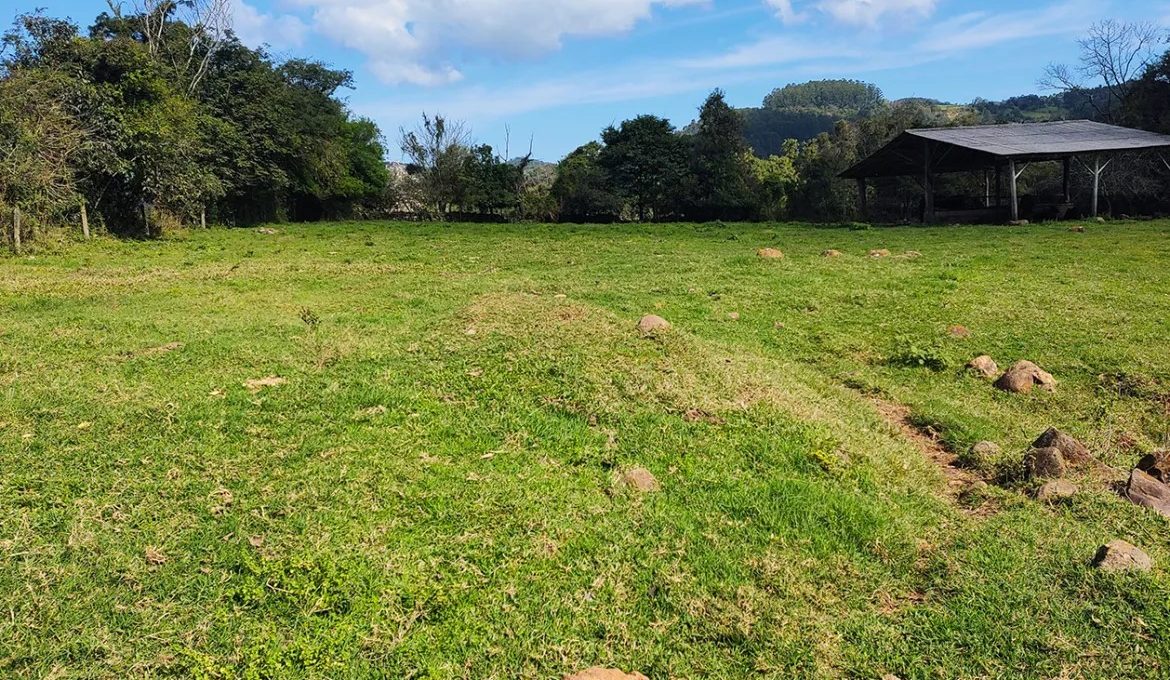 IMG_20230731_132804716