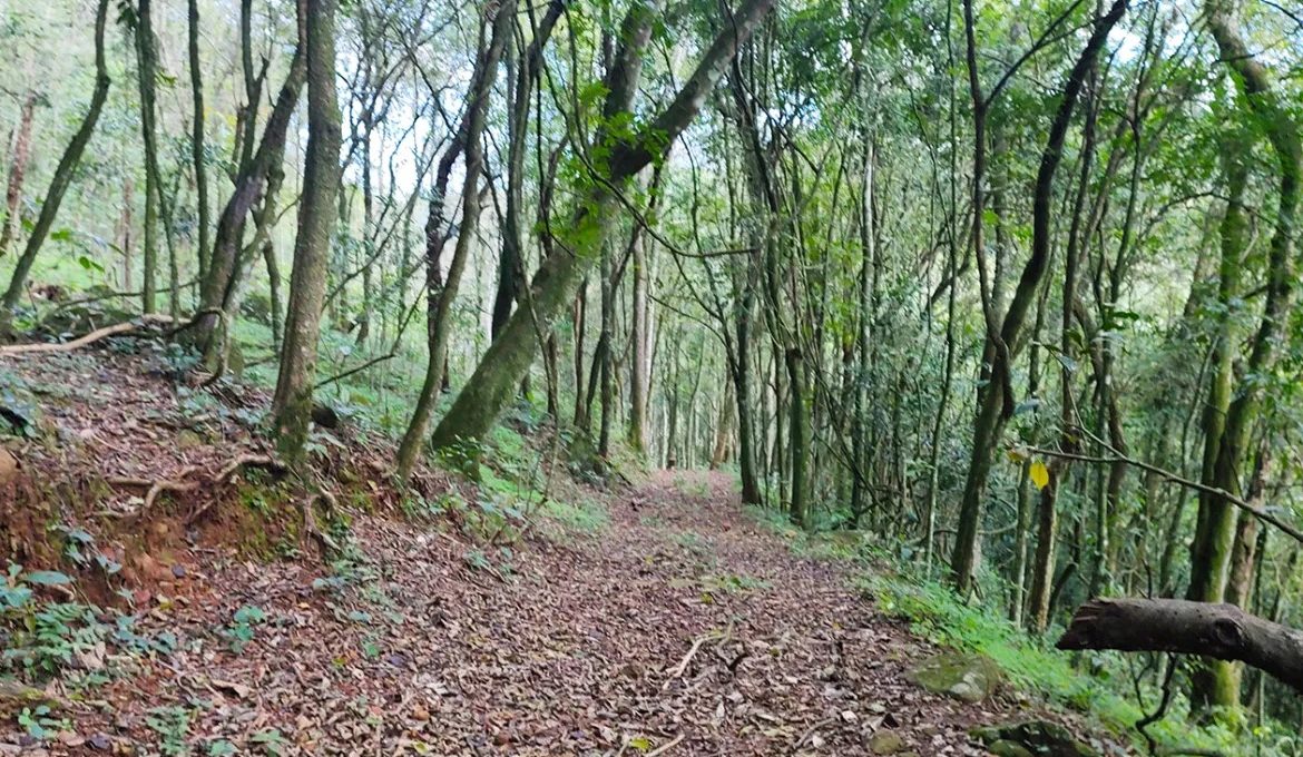 IMG_20230731_135142506