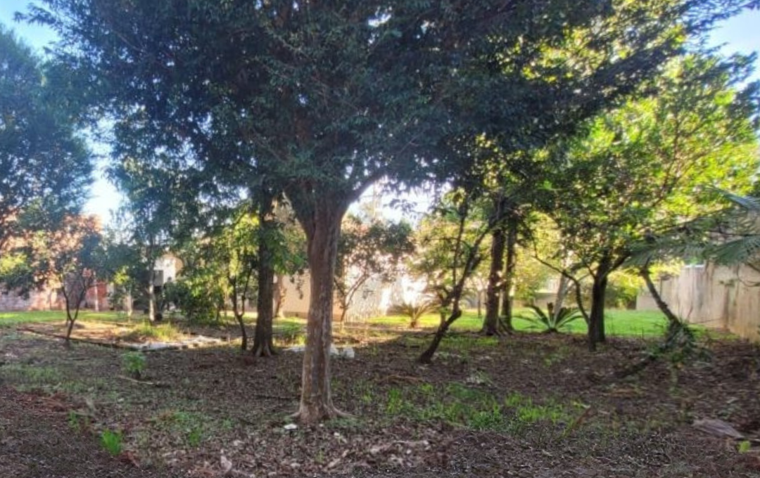 Imob - 2026-01-22T163540.257