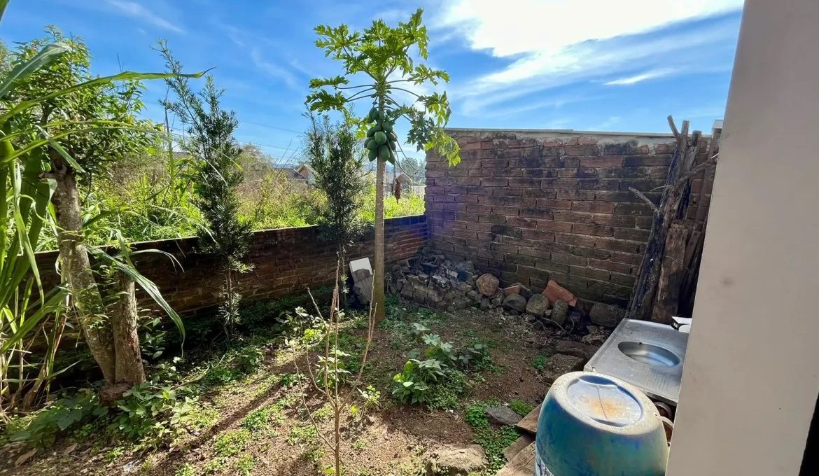 WhatsApp-Image-2024-06-14-at-15.12.57-1