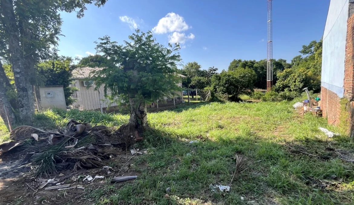 WhatsApp-Image-2024-11-07-at-10.41.48-1