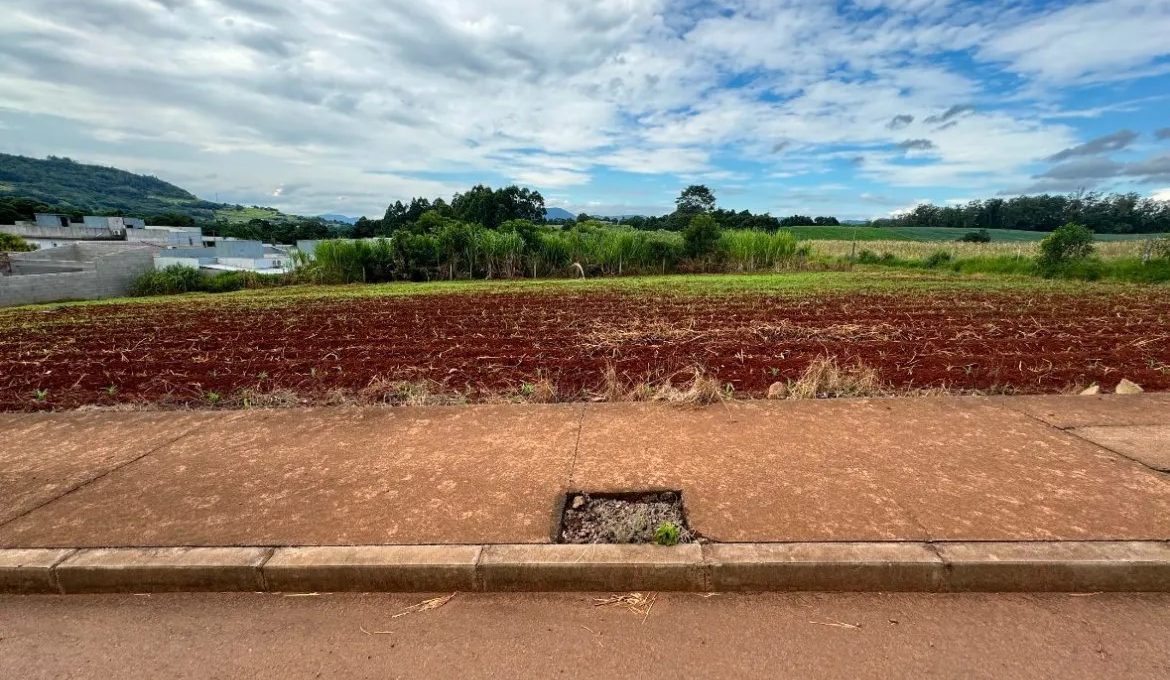 WhatsApp-Image-2024-11-27-at-15.32.41