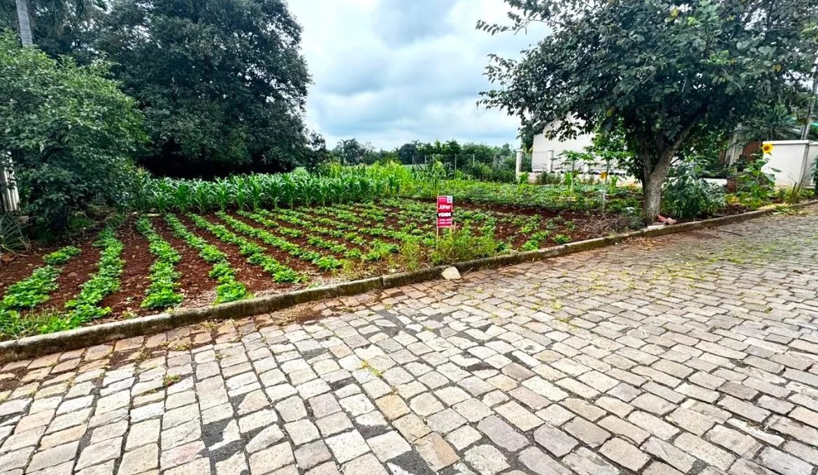 WhatsApp-Image-2024-11-29-at-10.13.11-2