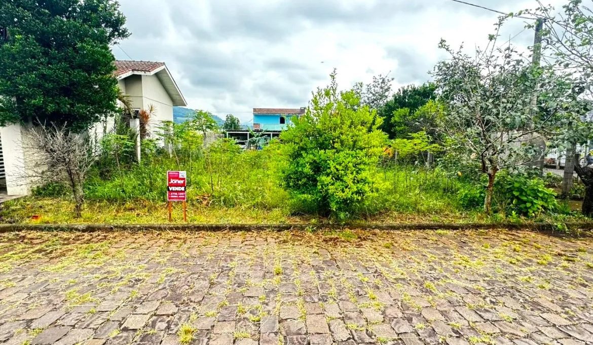 WhatsApp-Image-2024-11-29-at-10.13.12-1