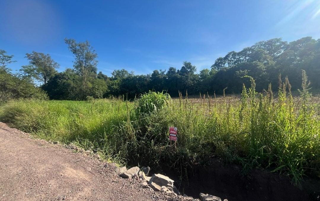 WhatsApp Image 2025-02-28 at 17.12.33