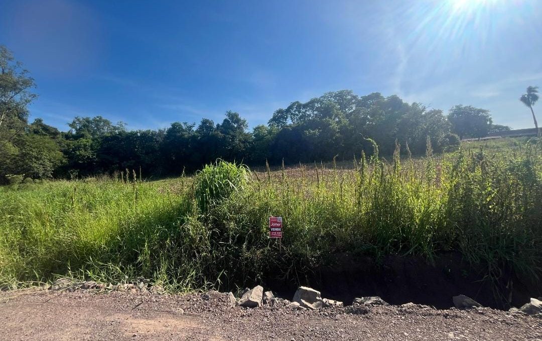 WhatsApp Image 2025-02-28 at 17.12.34 (2)