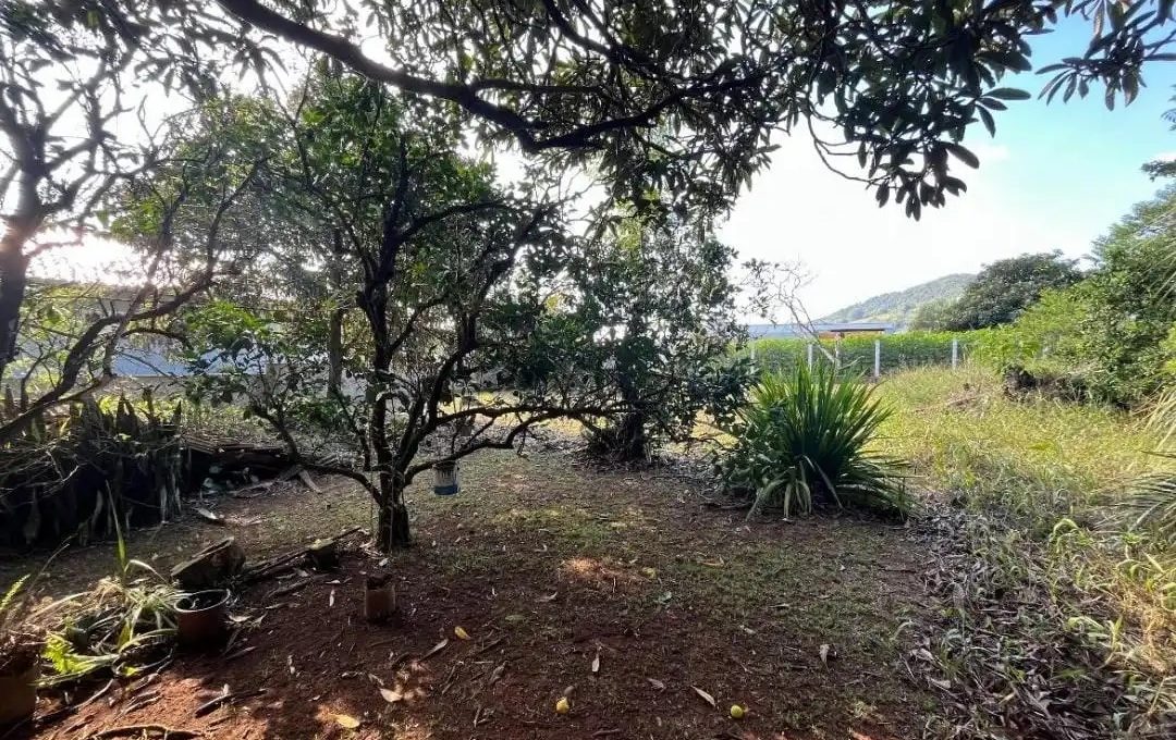 WhatsApp-Image-2025-03-13-at-11.07.27