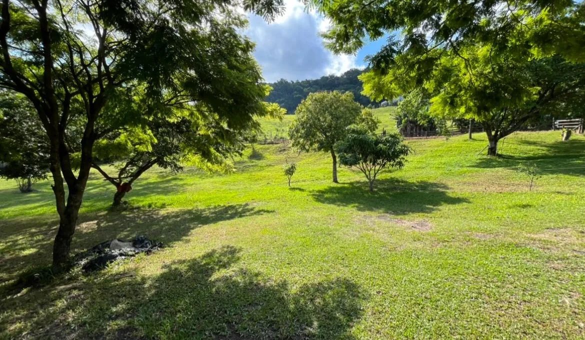 WhatsApp-Image-2025-03-19-at-16.12.04-1