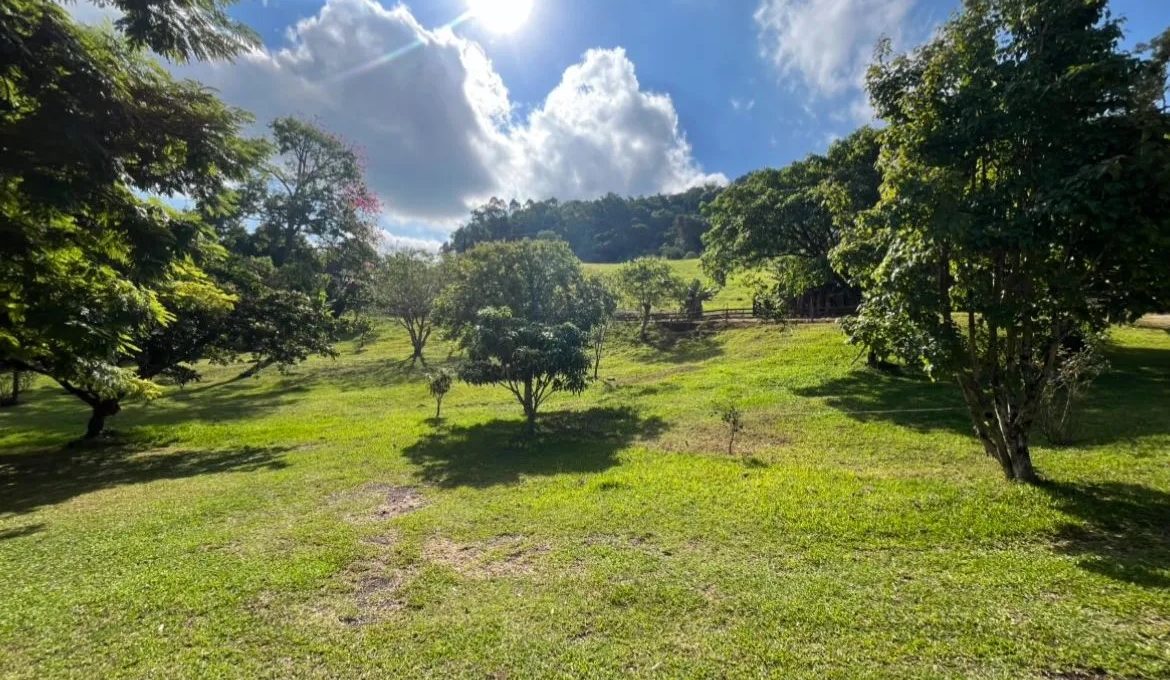 WhatsApp-Image-2025-03-19-at-16.12.05-2