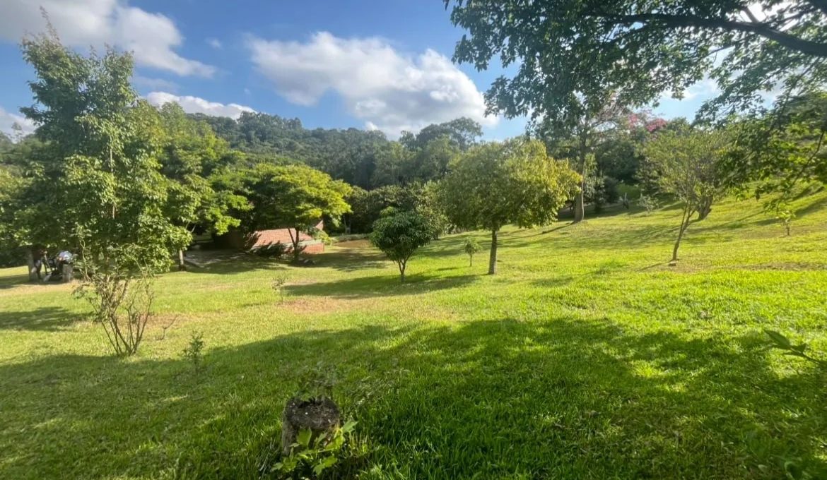 WhatsApp-Image-2025-03-19-at-16.12.06-1