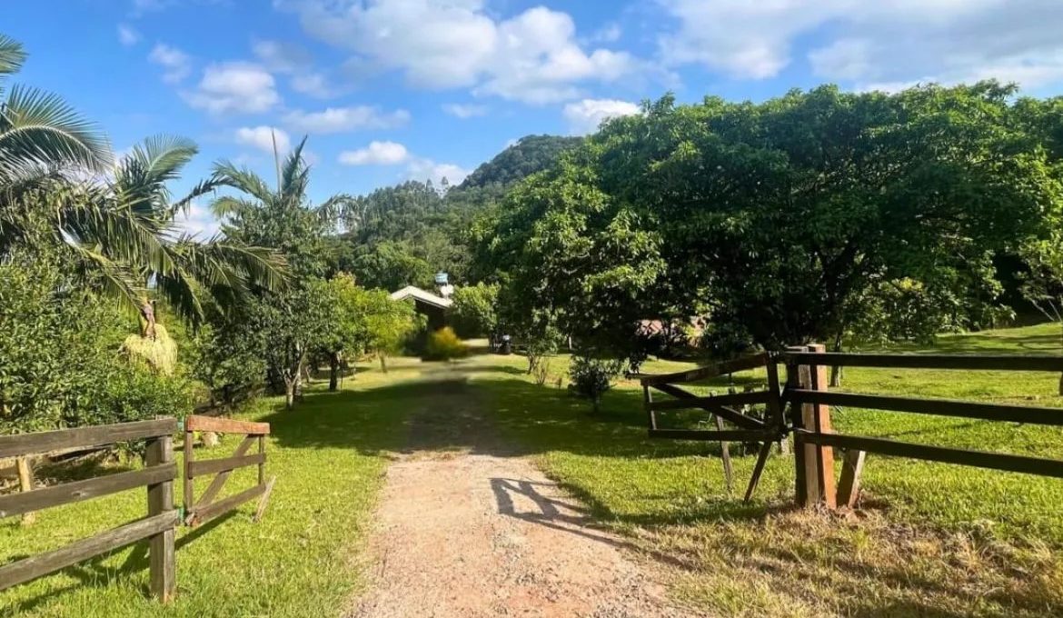 WhatsApp-Image-2025-03-19-at-16.12.07