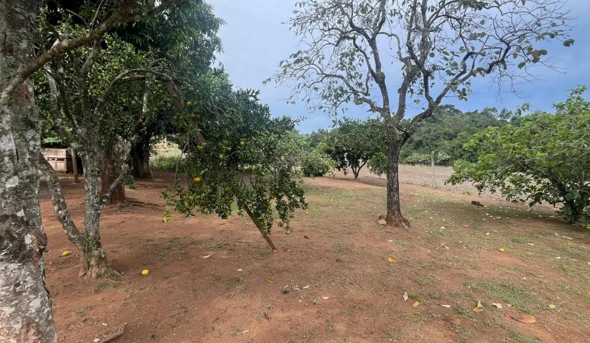 WhatsApp-Image-2025-05-02-at-14.11.47-scaled