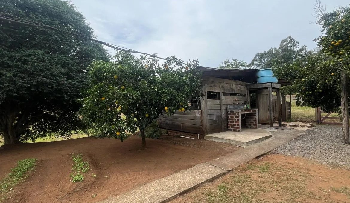 WhatsApp-Image-2025-05-02-at-14.11.51-scaled