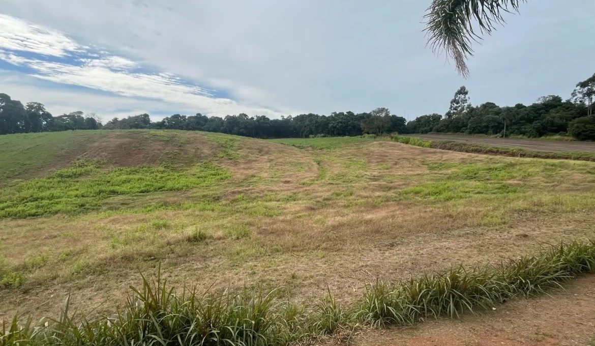 WhatsApp-Image-2025-05-02-at-14.15.16-scaled