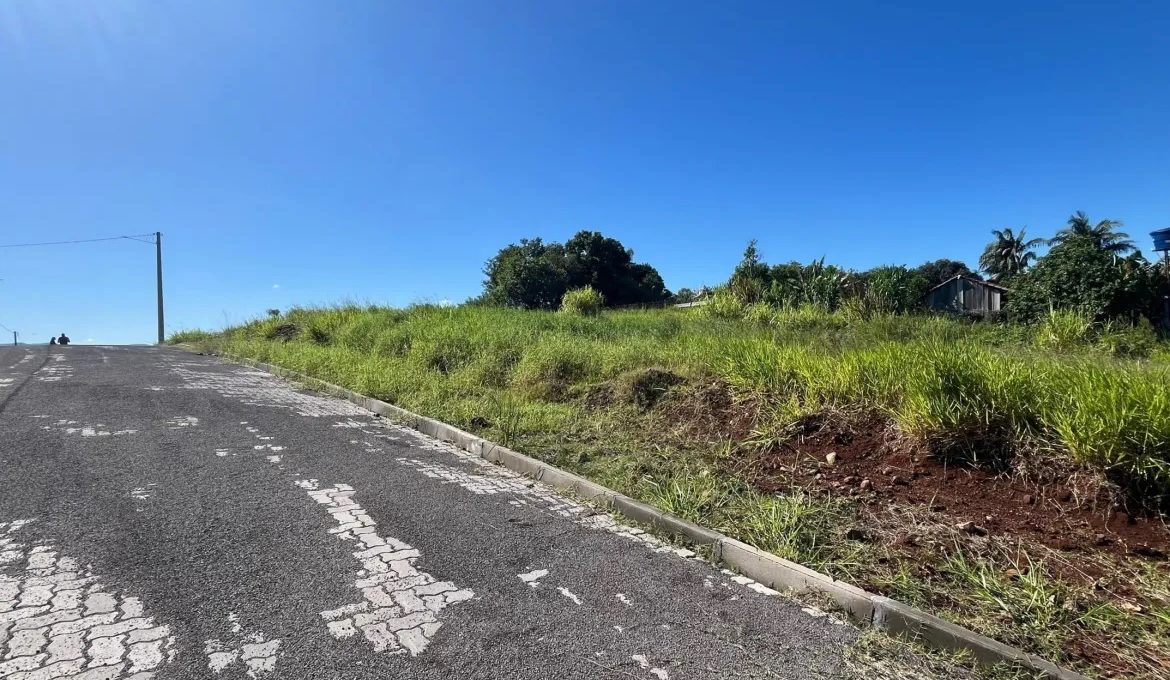 WhatsApp-Image-2025-05-03-at-09.07.58-scaled