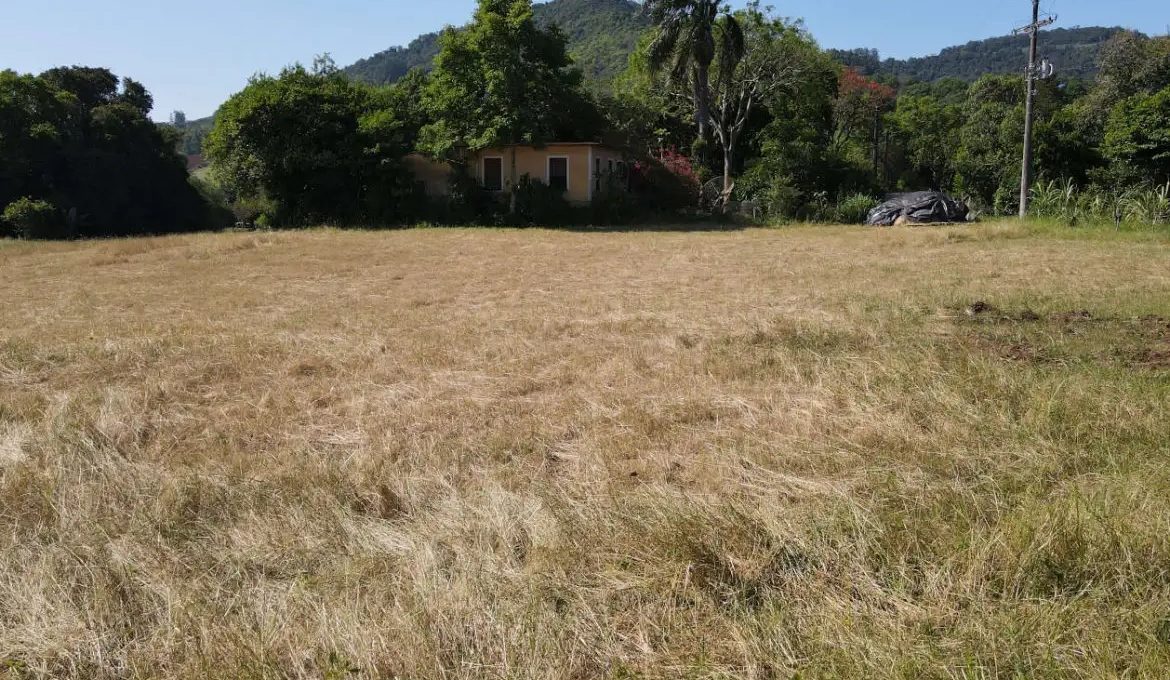 dji_fly_20221025_151210_527_1666721600804_photo