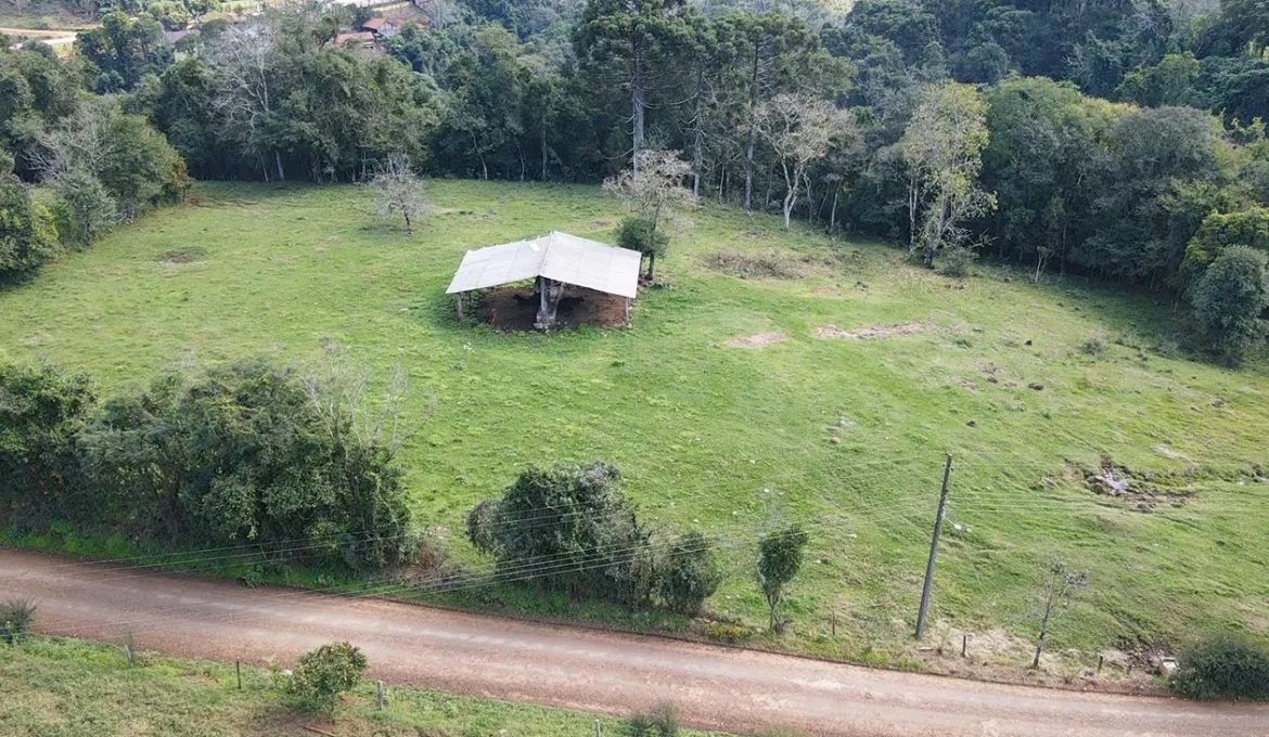 dji_fly_20230731_131250_0_1690819970310_photo_low_quality