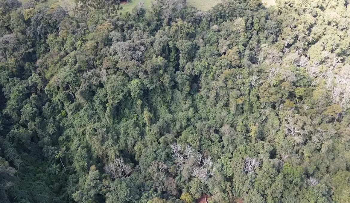 dji_fly_20230731_131427_0_1690820067504_photo_low_quality