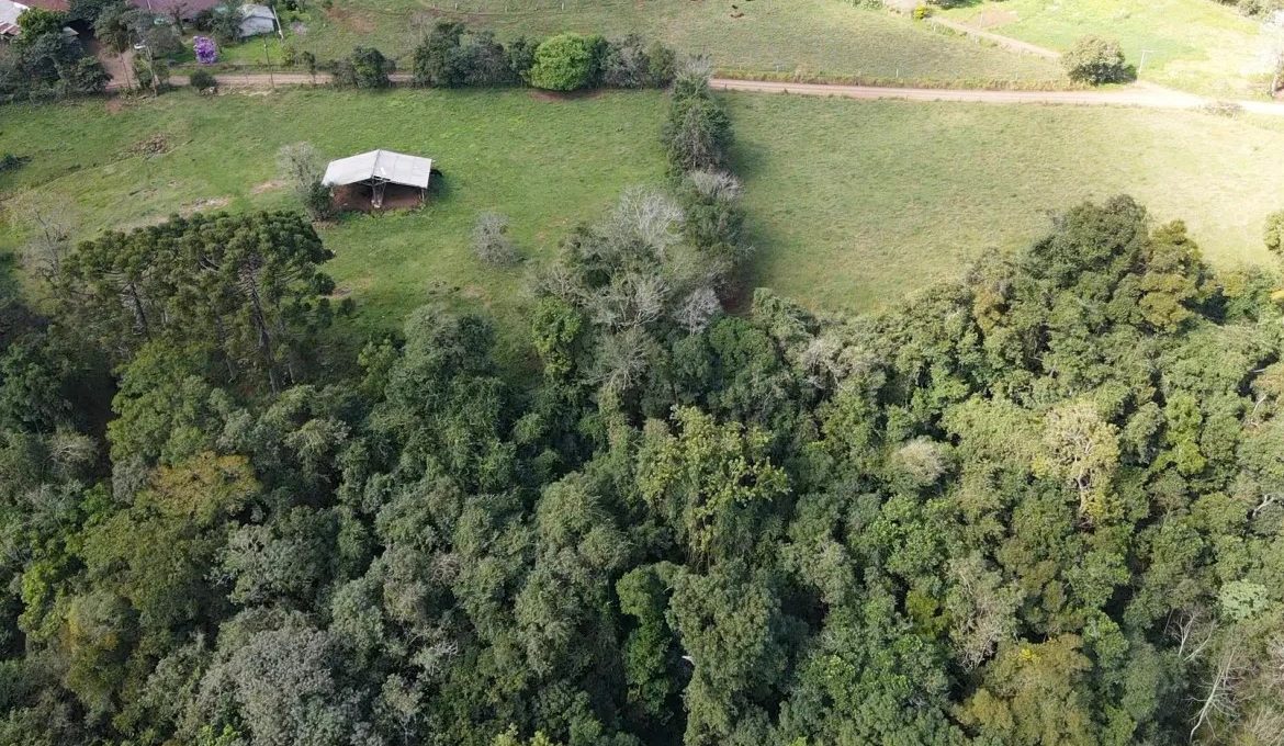 dji_fly_20230731_131437_0_1690820077283_photo_low_quality