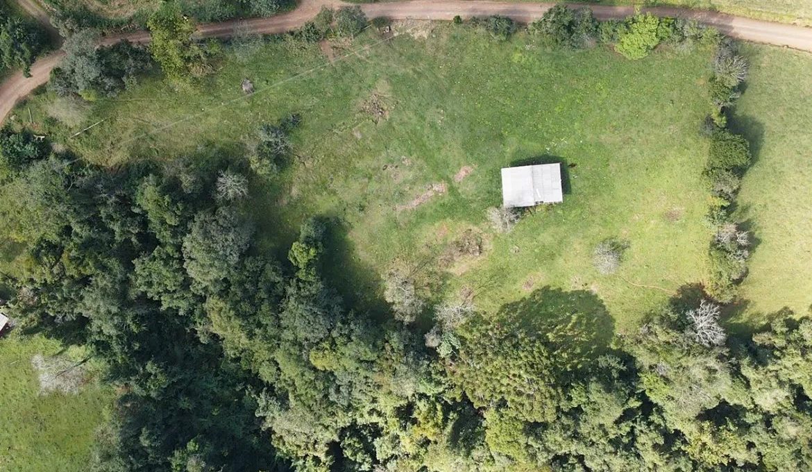 dji_fly_20230731_131527_0_1690820127116_photo_low_quality