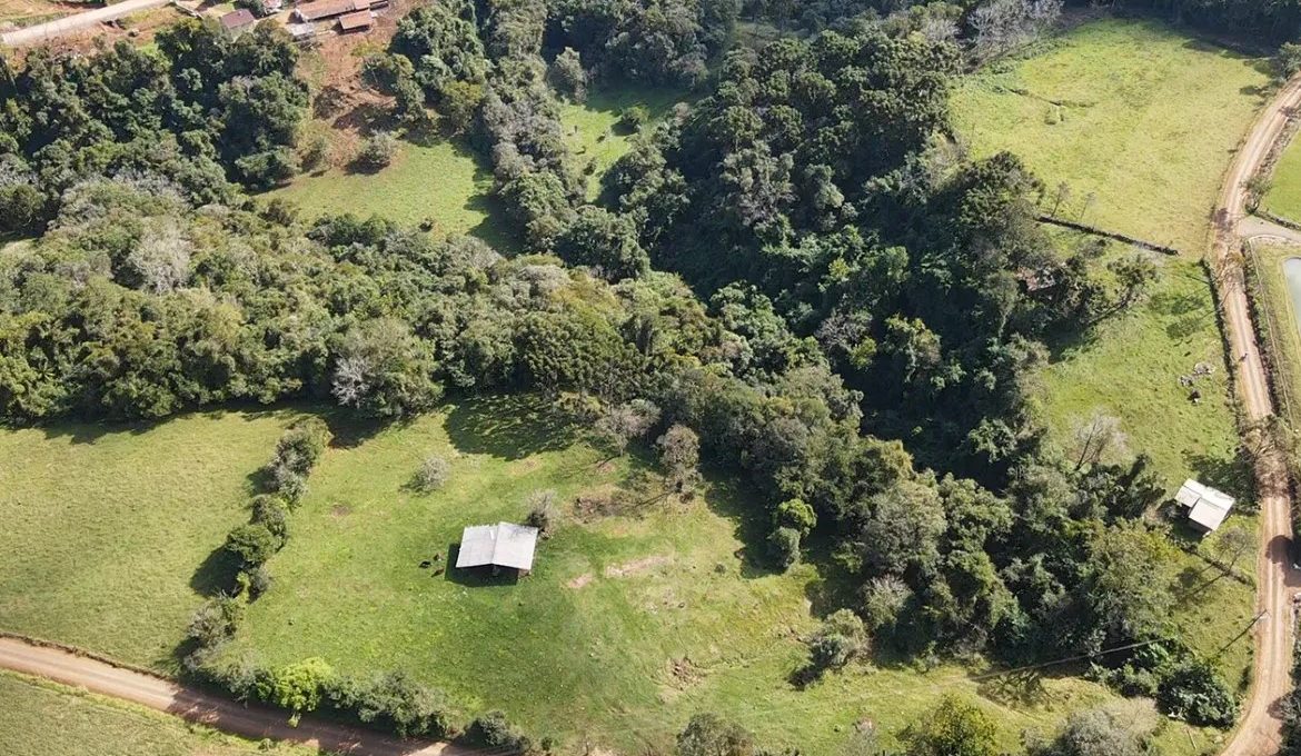 dji_fly_20230731_131619_0_1690820179597_photo_low_quality