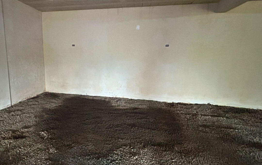 Imob - 2025-10-22T110815.734