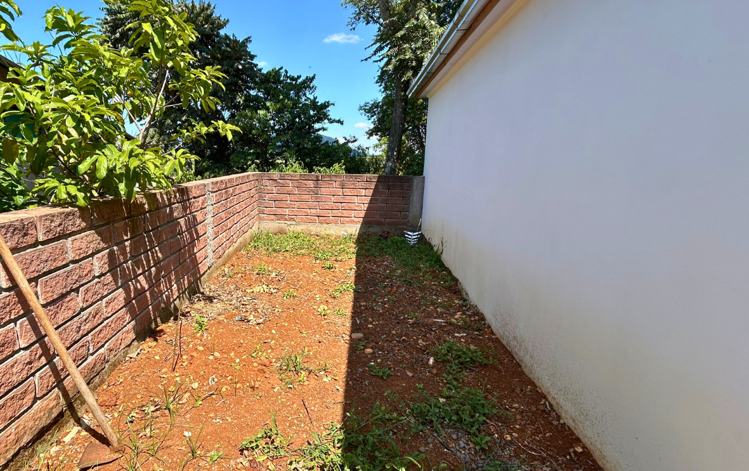 Imob - 2026-01-29T100935.766