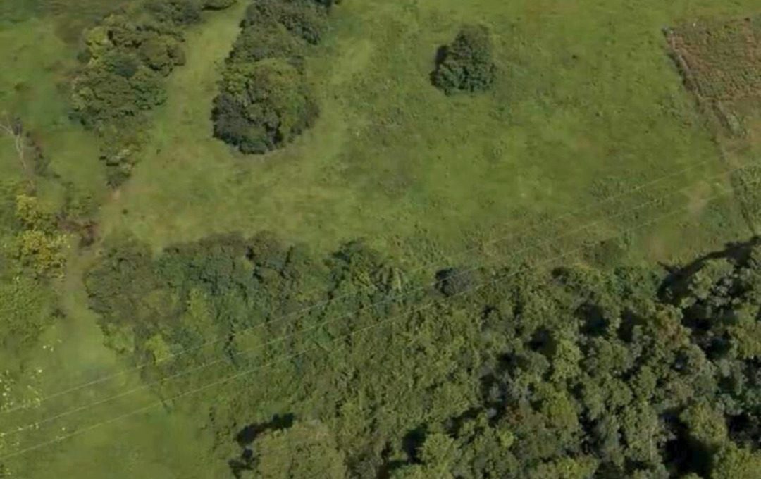 WhatsApp Image 2026-03-05 at 14.16.52 (3)