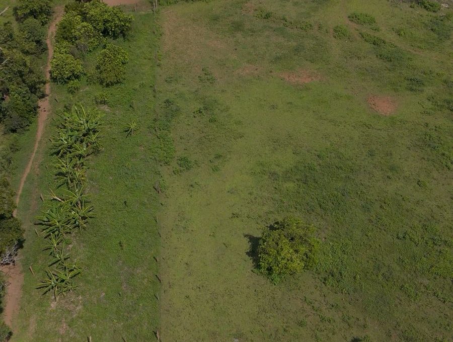 WhatsApp Image 2026-03-05 at 14.16.52