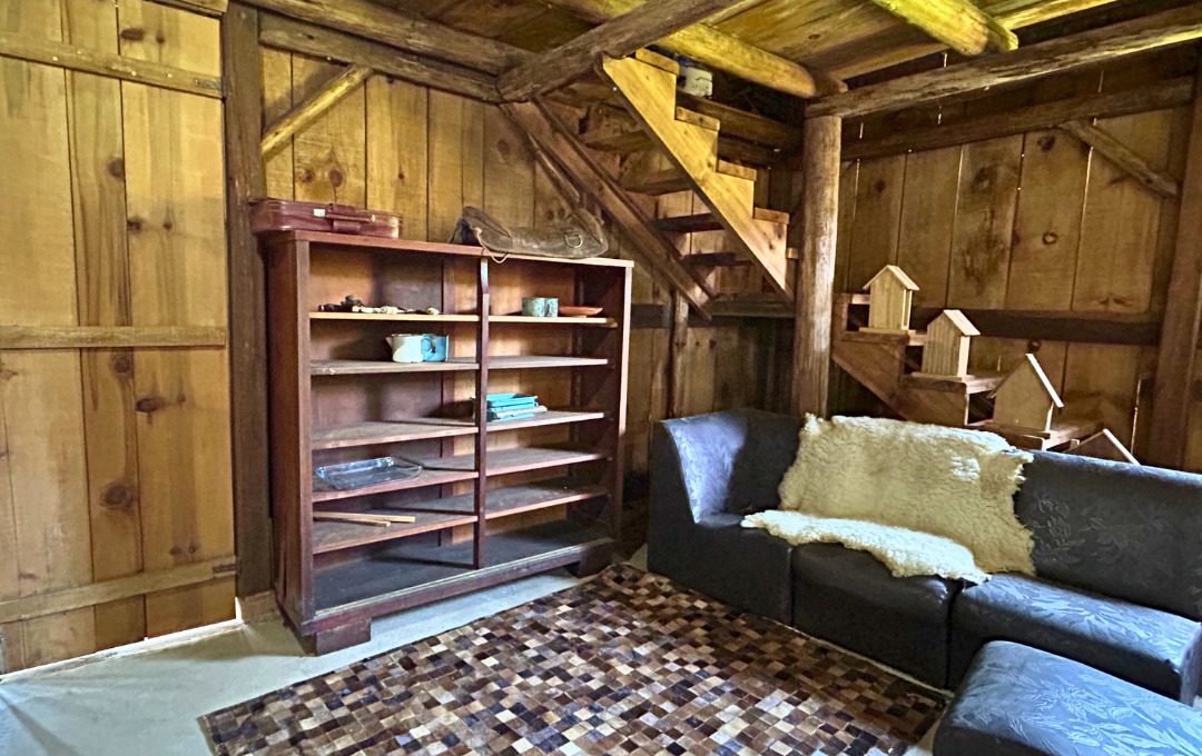 WhatsApp Image 2026-03-05 at 14.16.53 (3)