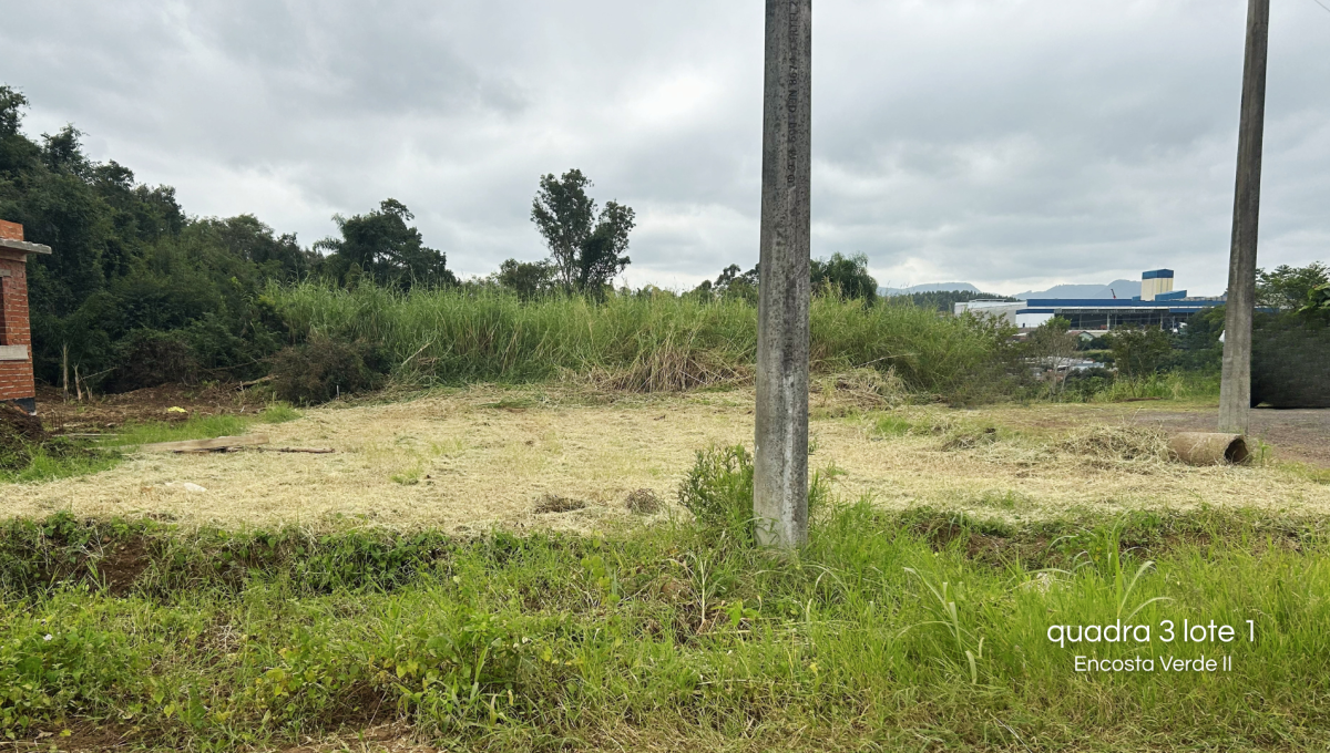 Q3 l1 encosta verde
