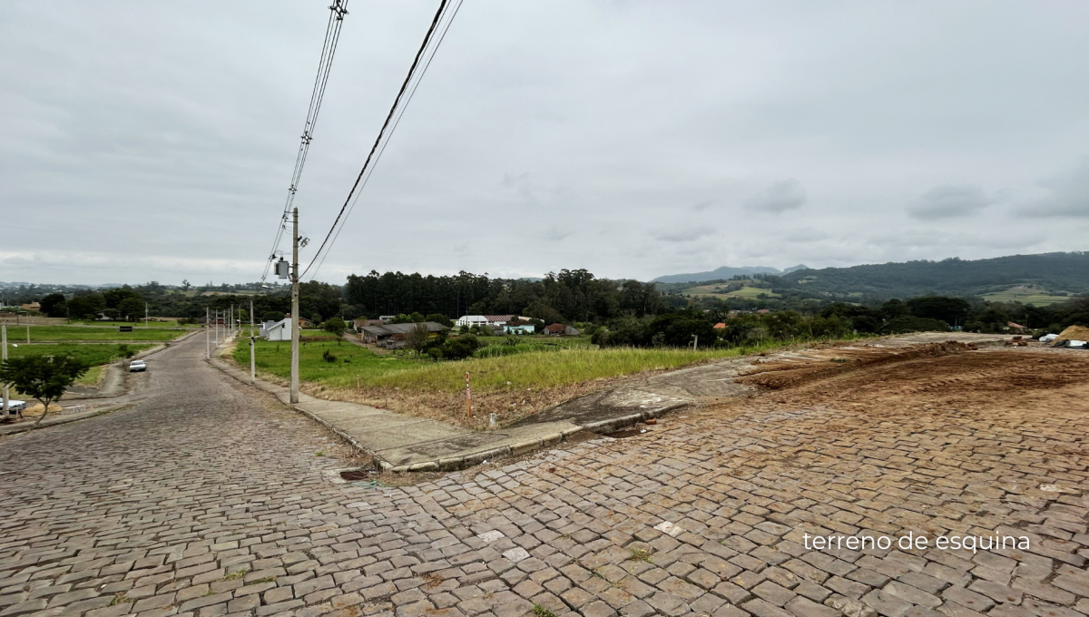 V3045 (3)